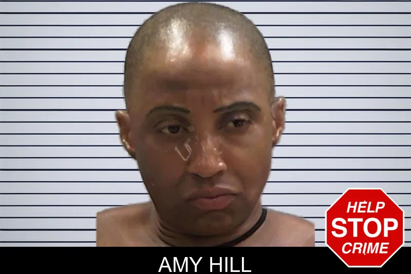 Amy Hill mugshot