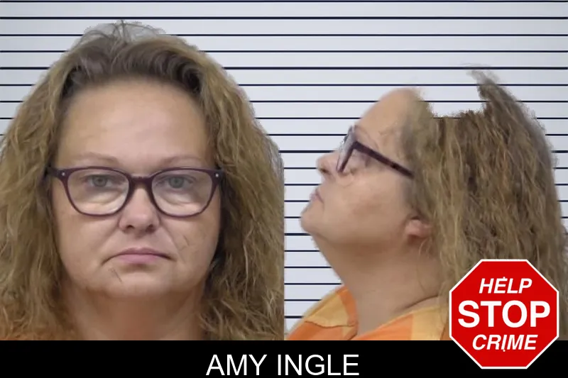 Amy Ingle mugshot
