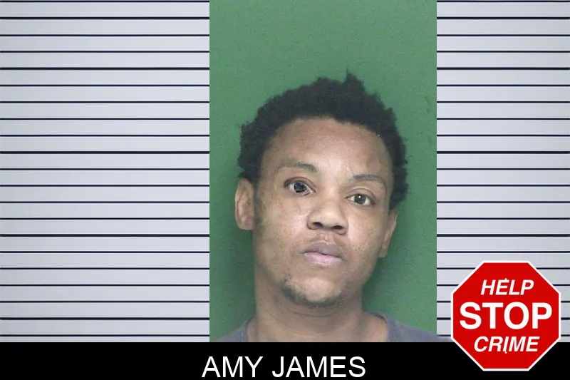 Amy James mugshot