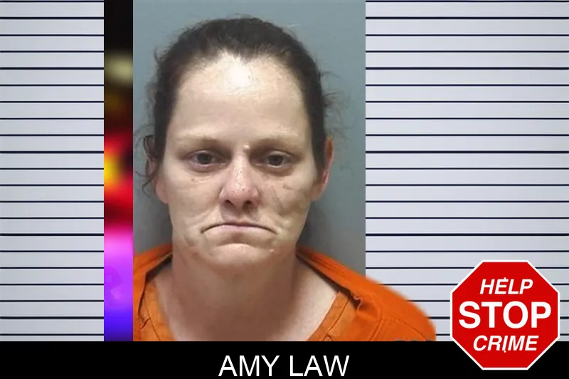 Amy Law mugshot