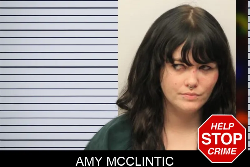 Amy McClintic mugshot