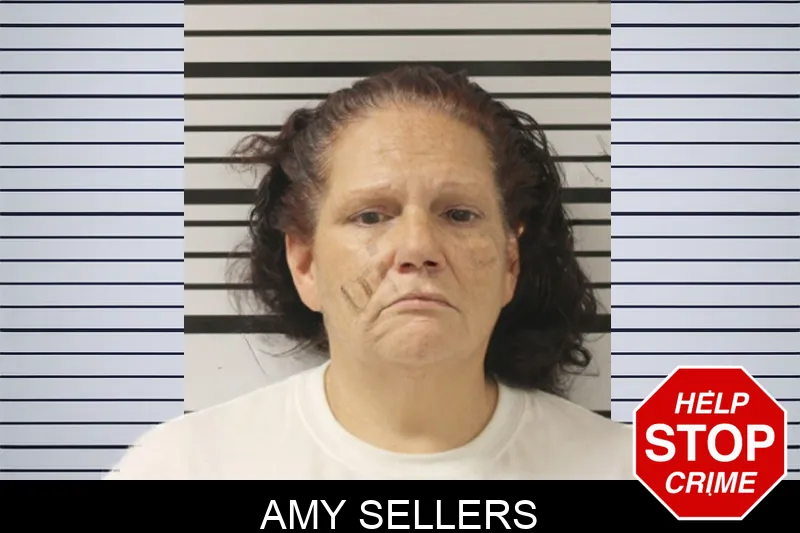 Amy Sellers mugshot