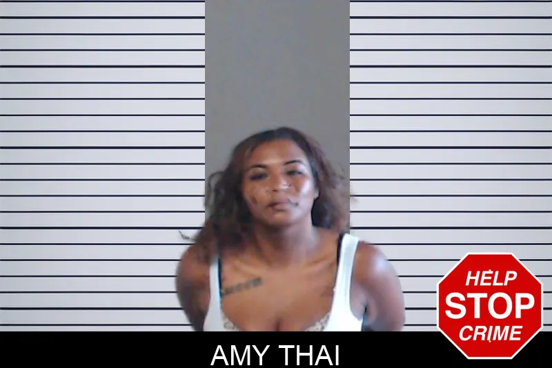 Amy Thai mugshot