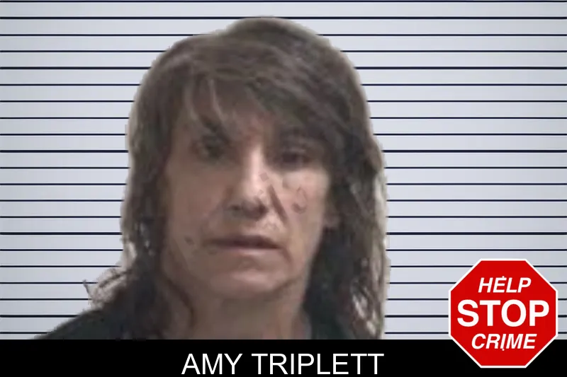 Amy Triplett mugshot
