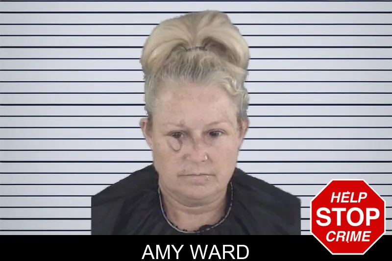 Amy Ward mugshot
