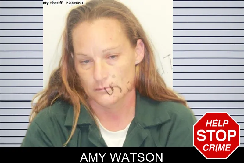 Amy Watson mugshot
