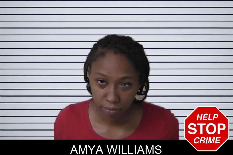 Amya Williams mugshot