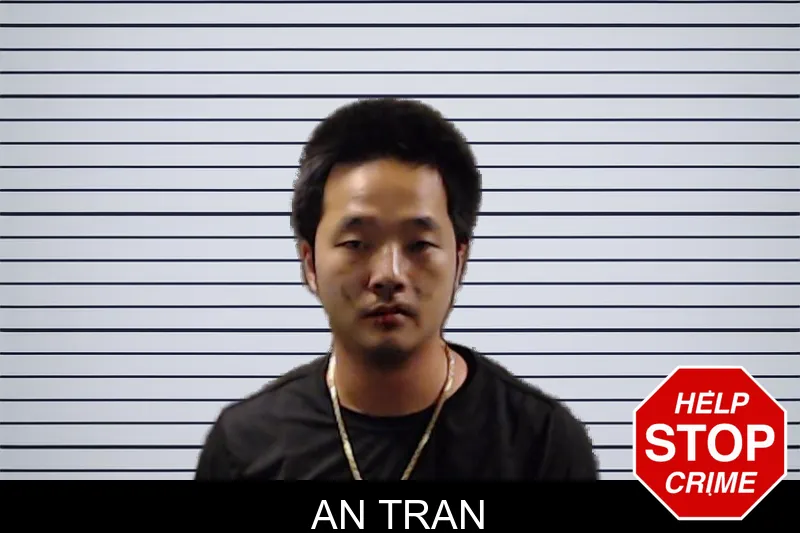 An Tran mugshot