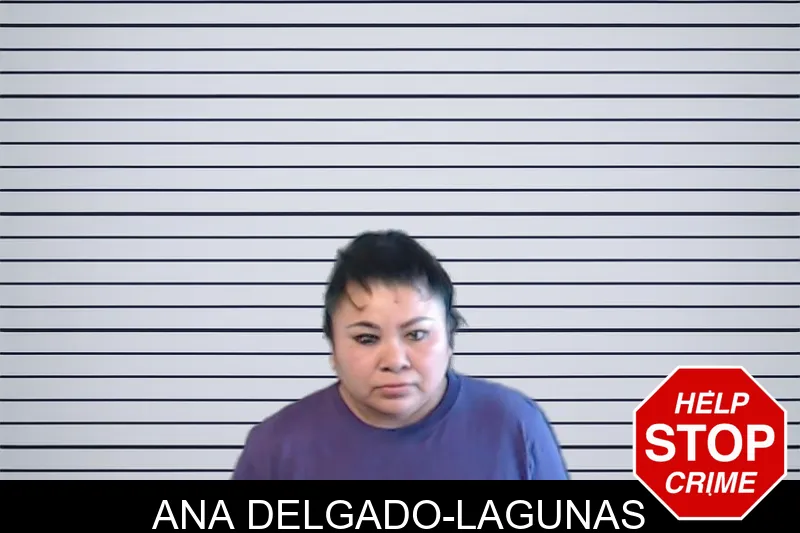 Ana Delgado-Lagunas mugshot