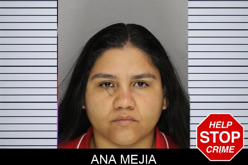 Ana Mejia mugshot