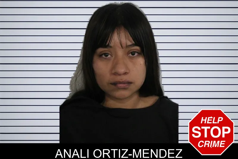 Anali Ortiz-Mendez mugshot