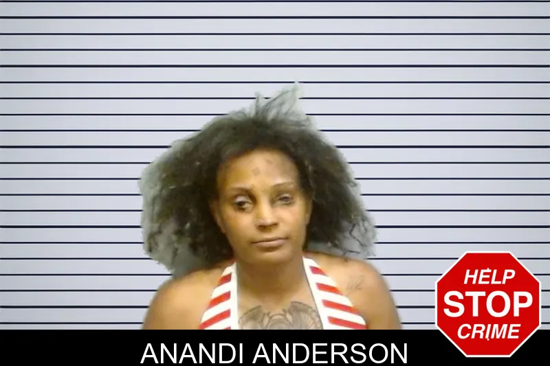 Anandi Anderson mugshot