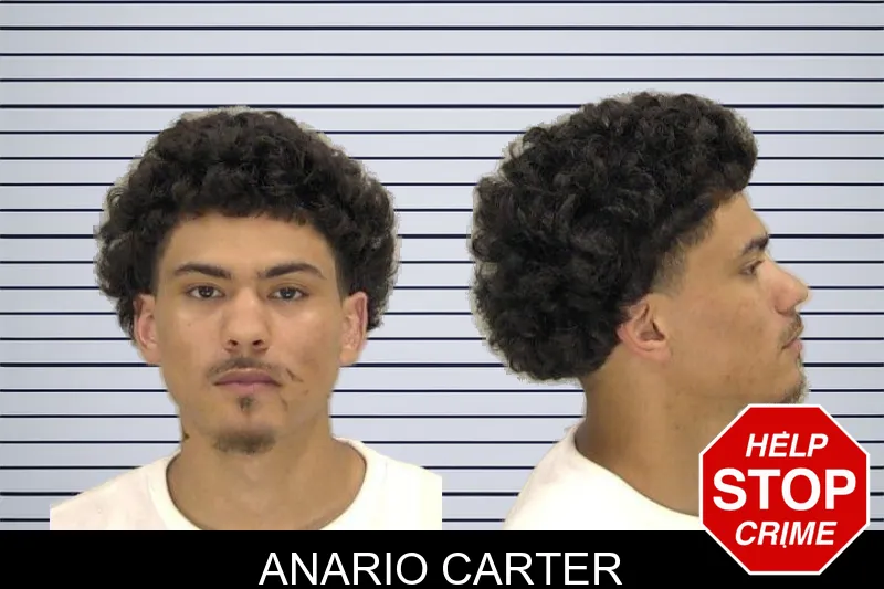 Anario Carter mugshot