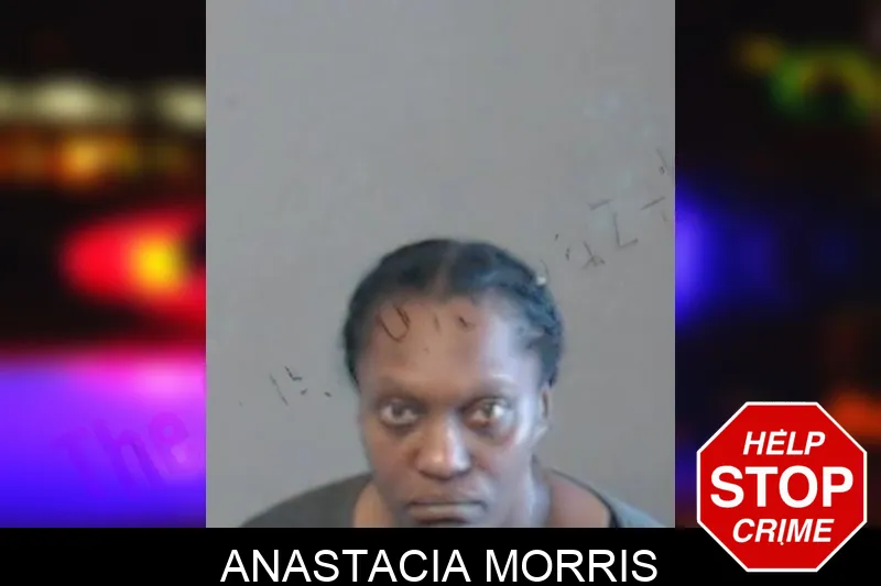 Anastacia Morris mugshot