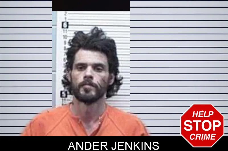 Ander Jenkins mugshot