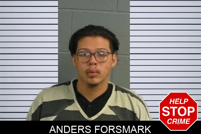 Anders Forsmark mugshot