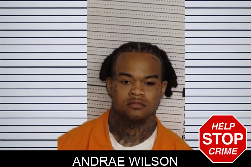 Andrae Wilson mugshot