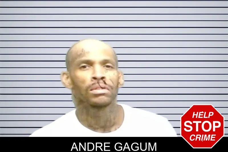 Andre Gagum mugshot