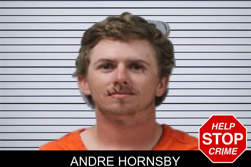 Andre Hornsby mugshot