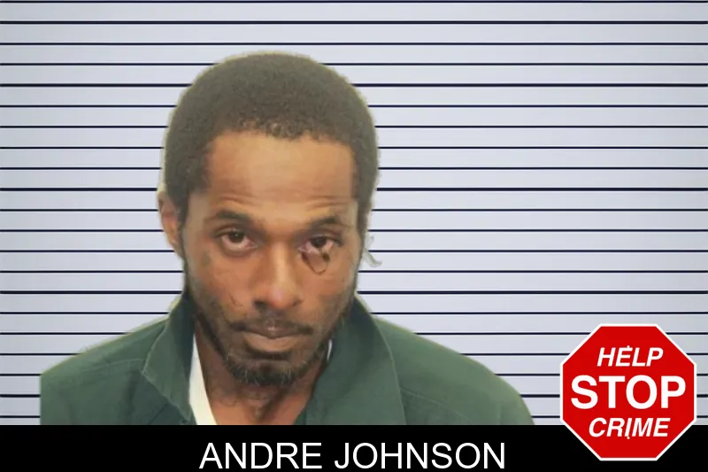 Andre Johnson mugshot