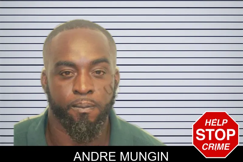 Andre Mungin mugshot