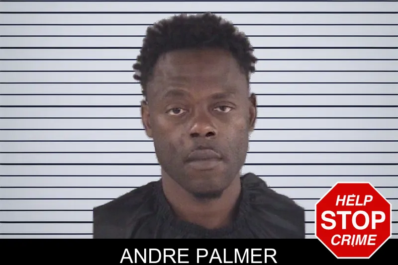 Andre Palmer mugshot