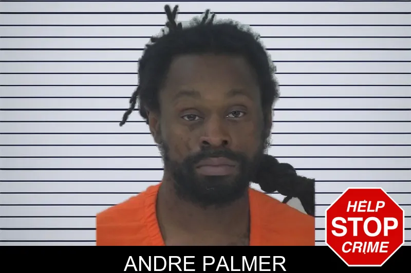 Andre Palmer mugshot