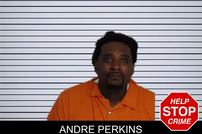 Andre Perkins mugshot