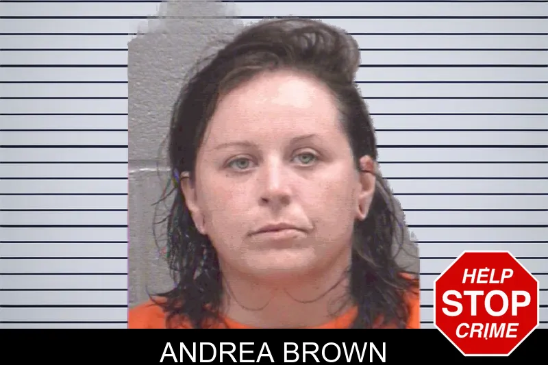Andrea Brown mugshot