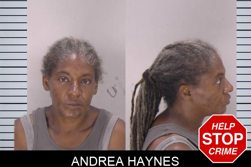 Andrea Haynes mugshot