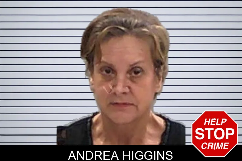 Andrea Higgins mugshot