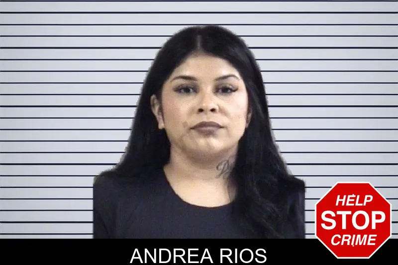 Andrea Rios mugshot