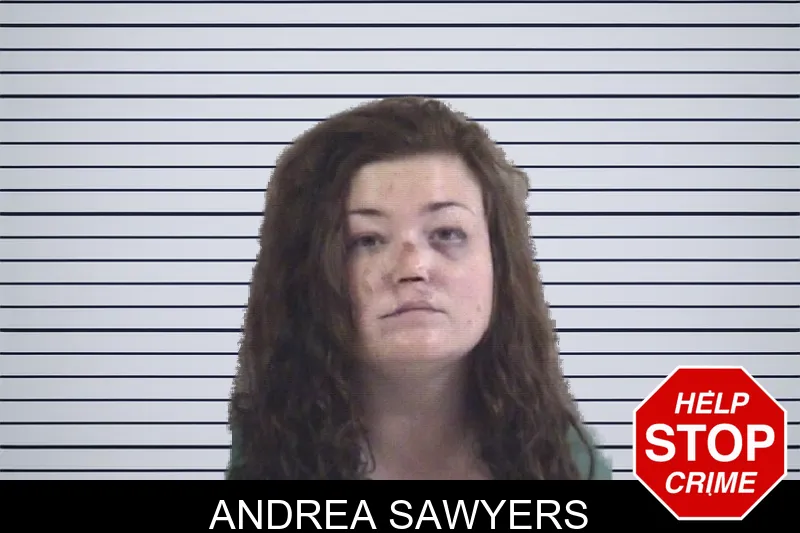 Andrea Sawyers mugshot