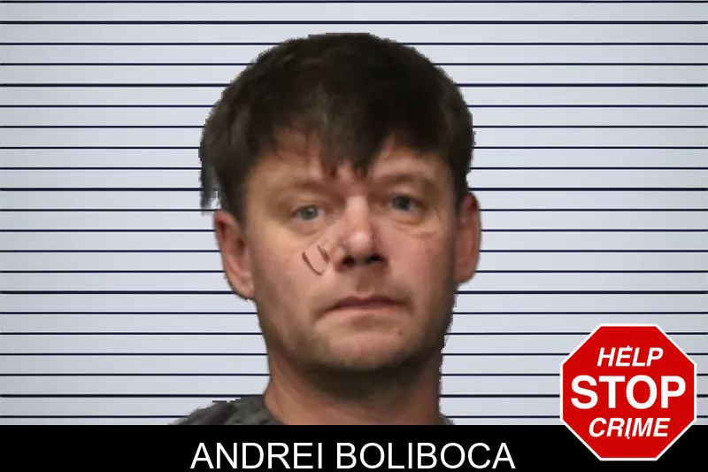 Andrei Boliboca mugshot