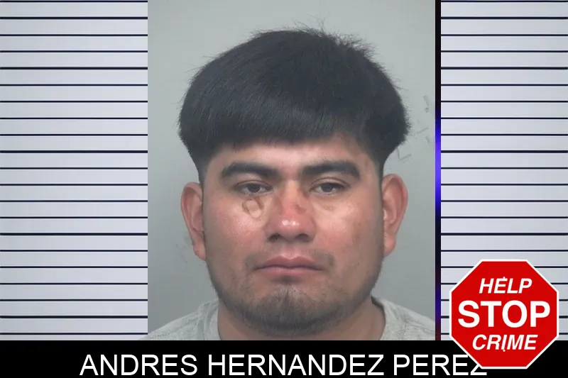 Andres Hernandez Perez mugshot