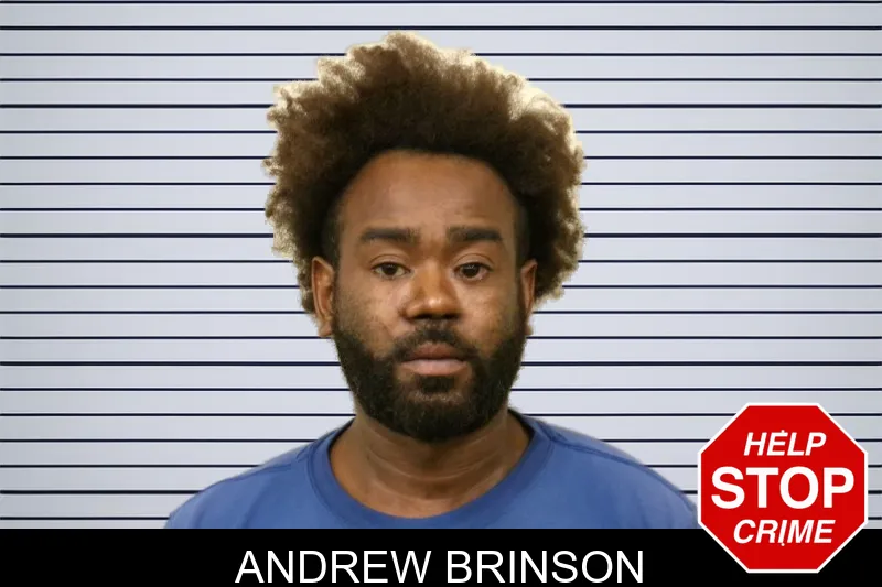 Andrew Brinson mugshot