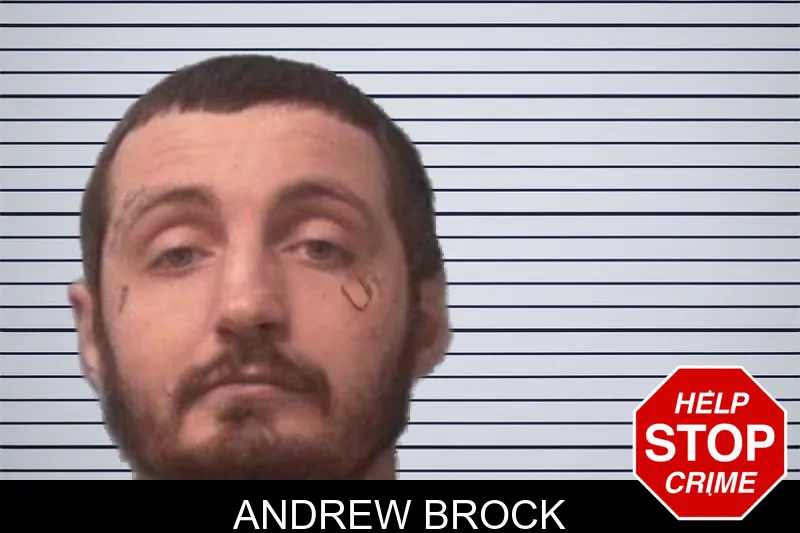 Andrew Brock mugshot