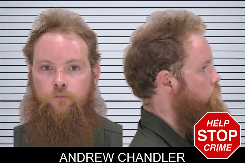 Andrew Chandler mugshot