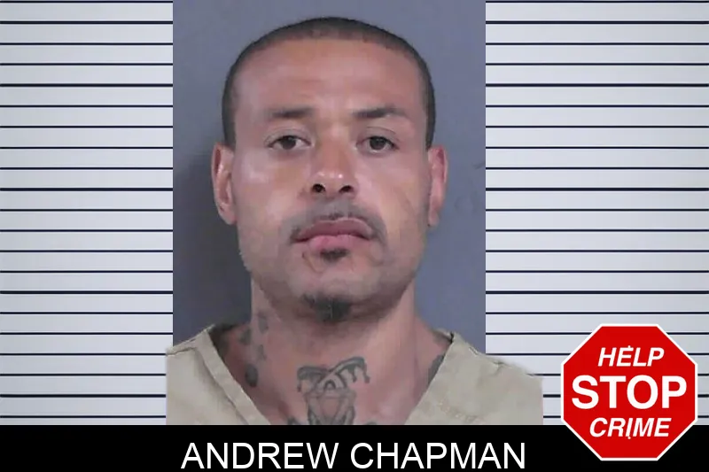Andrew Chapman mugshot
