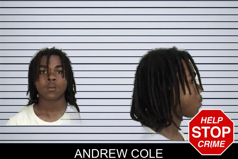 Andrew Cole mugshot