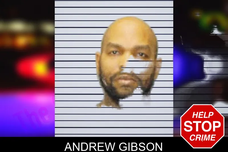 Andrew Gibson mugshot