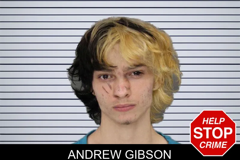 Andrew Gibson mugshot