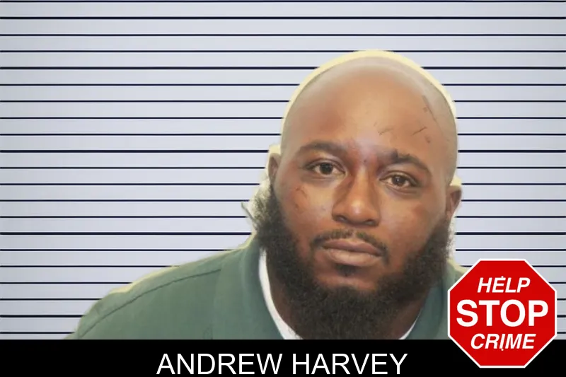 Andrew Harvey mugshot
