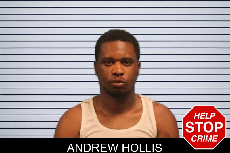 Andrew Hollis mugshot