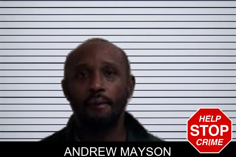 Andrew Mayson mugshot