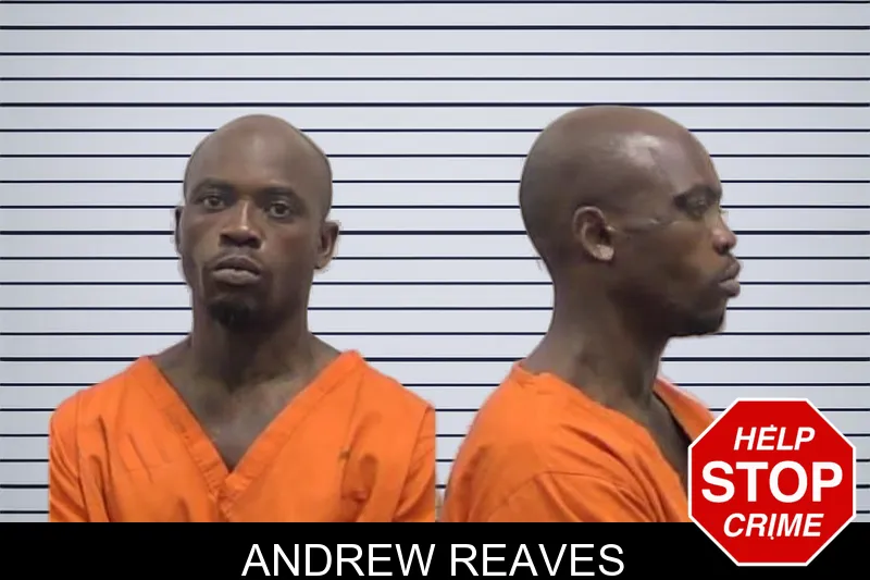 Andrew Reaves mugshot