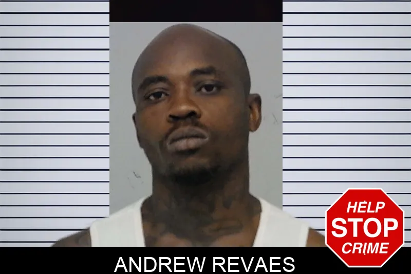 Andrew Revaes mugshot