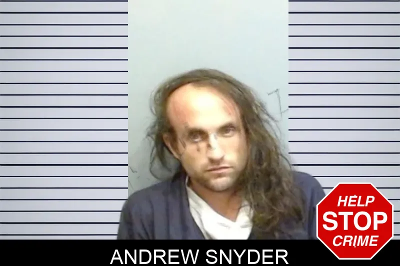 Andrew Snyder mugshot
