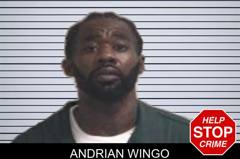 Andrian Wingo mugshot