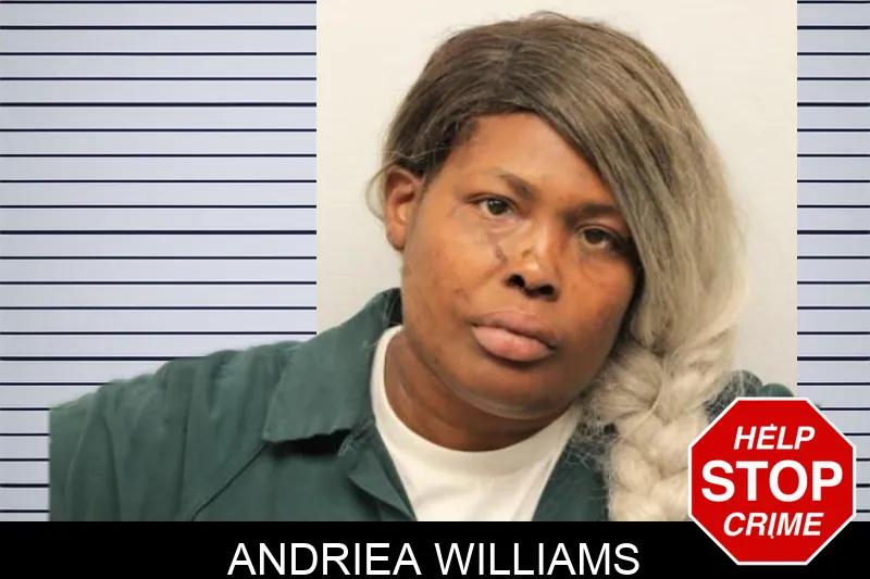 Andriea Williams mugshot